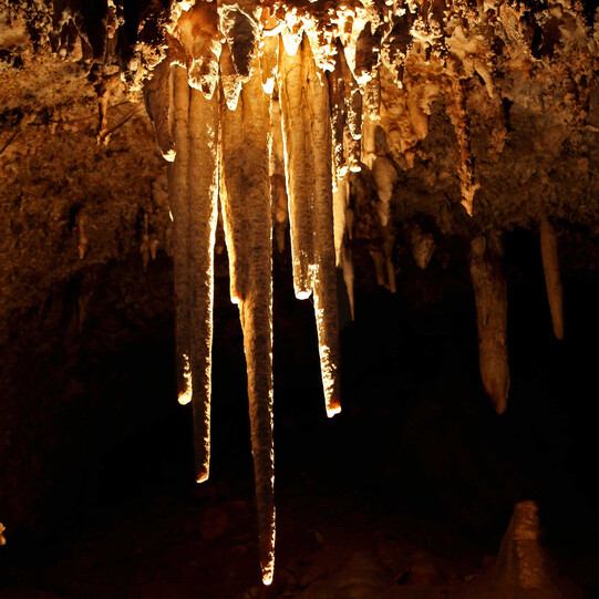 bridal chamber