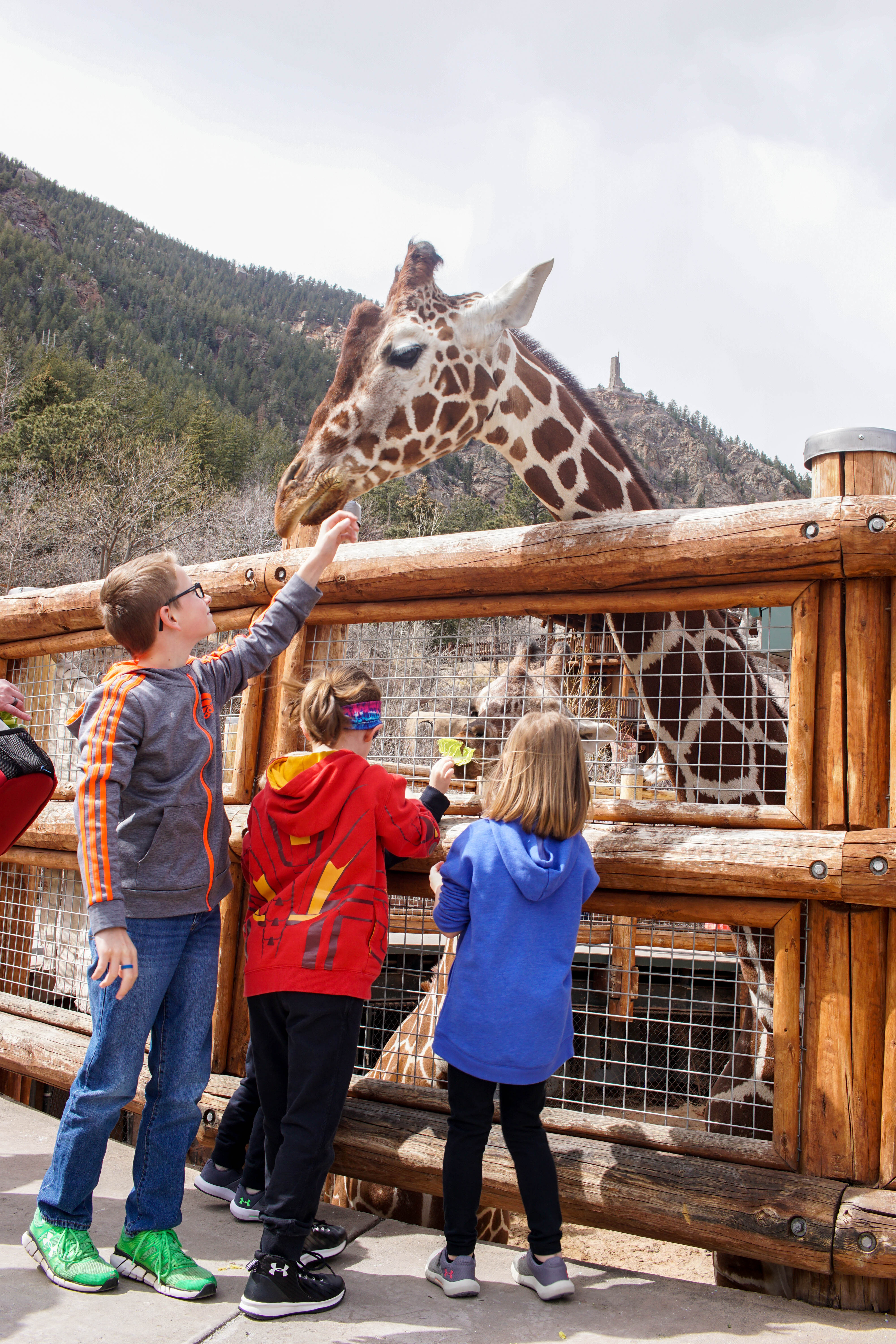 Cheyenne Mountain Zoo