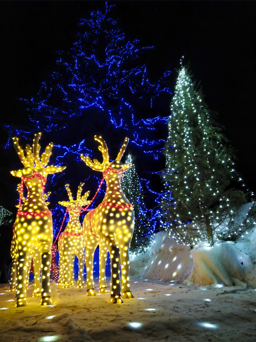 Cheyenne Mountain Zoo lights